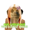 Suricate Seboso 7