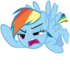 Rainbow Dash 14