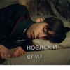 ноелся И спит