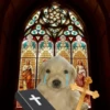 Puppy 11