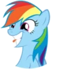 Rainbow Dash 15