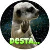 Suricate Seboso 10