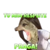 Suricate Seboso 11