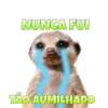 Suricate Seboso 17