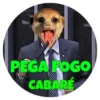Suricate Seboso 18