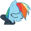 Rainbow Dash 21
