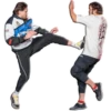 POP MMA 7
