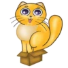 Fat Cat Sardelkin by @sasshhaaaa 24