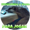 Suricate Seboso 27