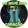Suricate Seboso 30