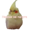 Больше стиков тYт: @stikery4 6