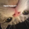 lol 7