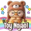 alexa Toy Nojao!