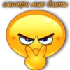 смотри мне блять
