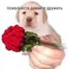 пожалуйста давайте дружить