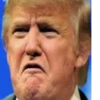 Trumpism @stickersb2b 8