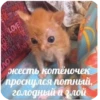 Больше стиков тYт: @stikery4 10