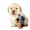 ¿puppy? (by @typiestikeriegorika) 7