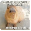 Больше стиков тYт: @stikery4 14