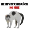 Разнос @creativ_textbot 17