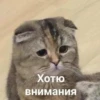 Разнос @creativ_textbot 18