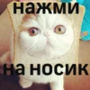 Больше стиков тYт: @stikery4 16