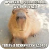 Больше стиков тYт: @stikery4 16