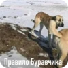 Больше стиков тYт: @stikery4 19