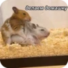 Больше стиков тYт: @stikery4 20
