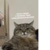 lol 26