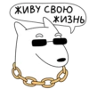 Ducks @stickersb2b 22