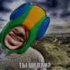 ТЫ ШЕЛЛИ?
