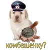 комбашенку?