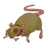 Rato 4