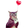 Favorite Sticker by @fStikBot 9
