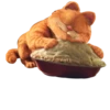 Garfield 7