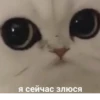 quality is fine 7