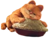 Garfield 9