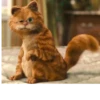 Garfield 10