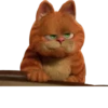 Garfield 11