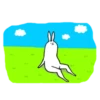 rabbit with beautiful legs 13