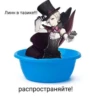 Лини😍 @Shrifty_textbot 13