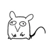 Rato 6