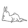 rabbit with beautiful legs 16