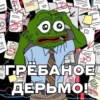 @igotosochi Pepe Investor 9