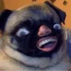 Favorite Sticker by @fStikBot 13
