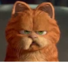 Garfield 14