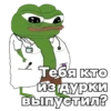 @igotosochi Pepe Investor 12