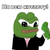 @igotosochi Pepe Investor 13