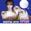 Skz @Shrifty_textbot 9